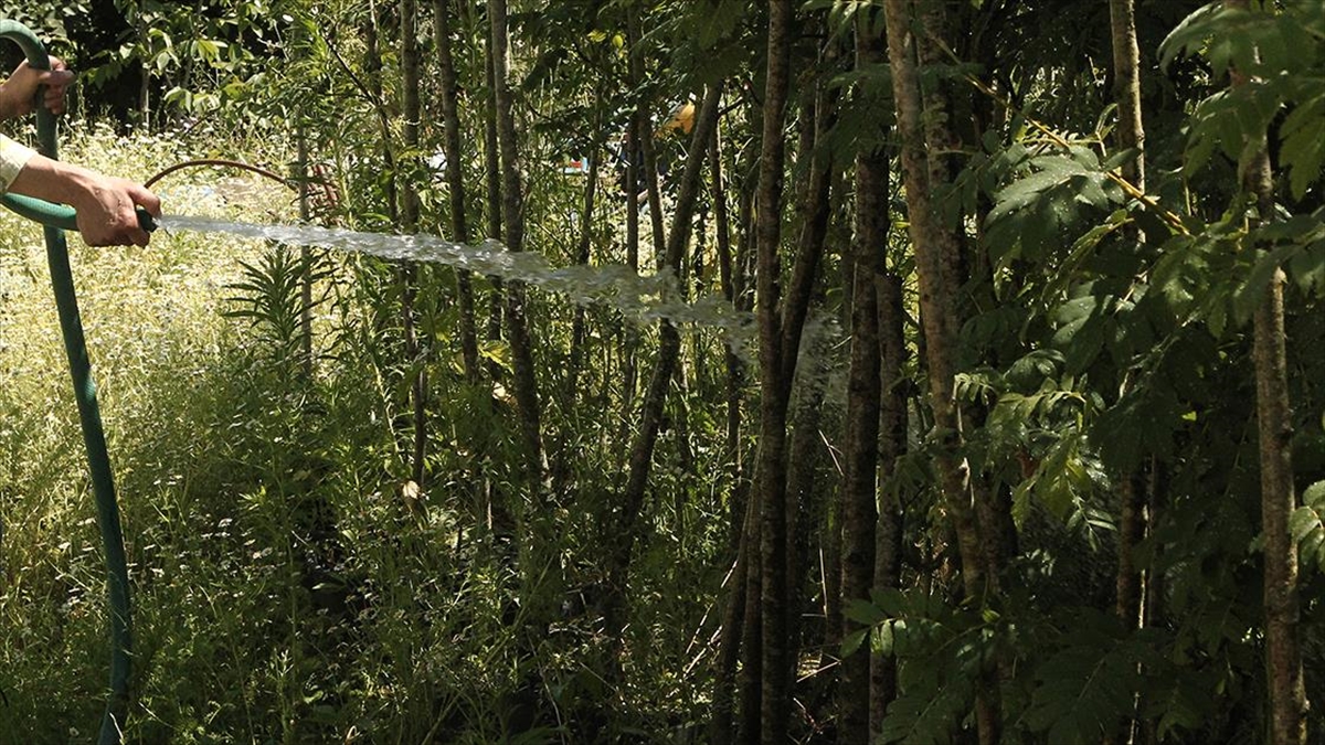 İstanbul'da Bahçe Ve Peyzaj Sulama Abonelerinin Su Kullanımları Geçici Durduruldu