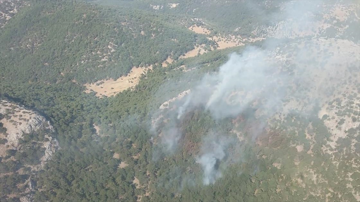 İzmir'de Çıkan Orman Yangınına Müdahale Ediliyor