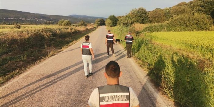 Kayıp Ekonomist Berzeg'in Gps Cihazı Takılan Köpeği "tina" İlk Görüldüğü Bölgeye Yeniden Bırakıldı