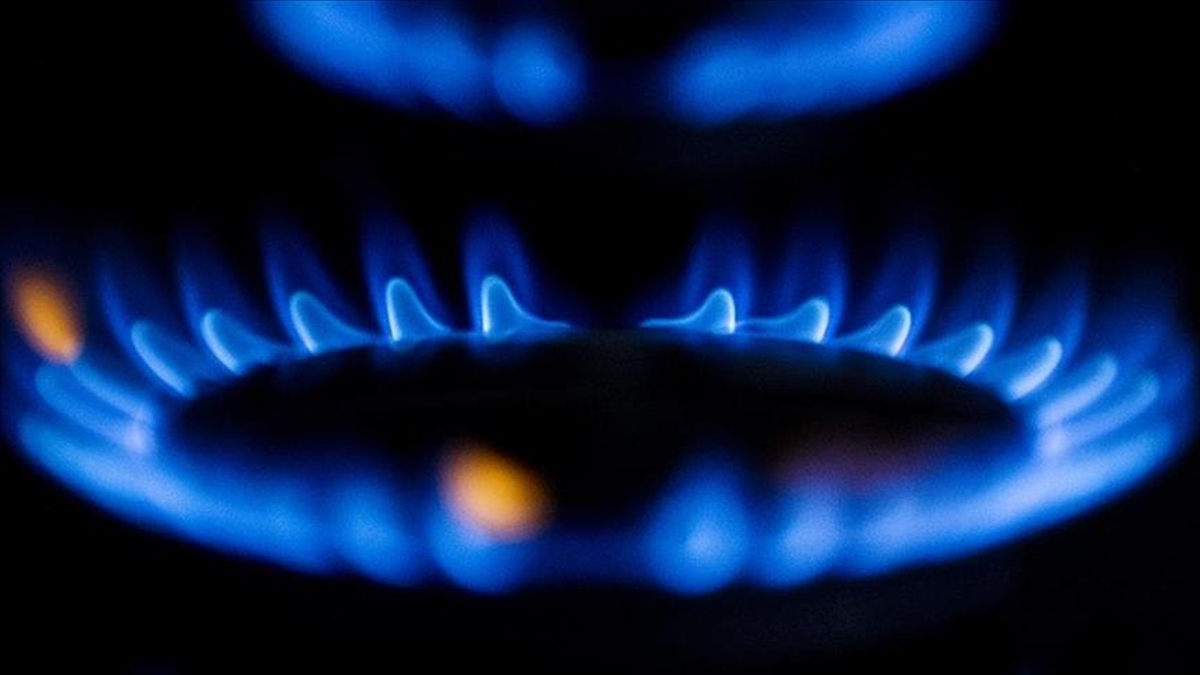 Türkiye'nin Doğal Gaz Abone Sayısı 20 Milyonu Aştı