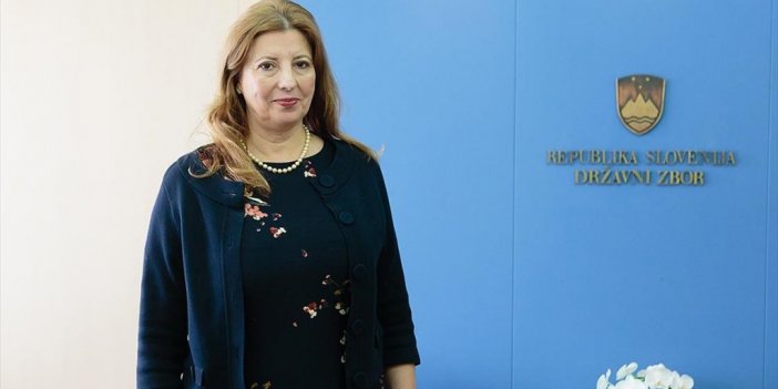 Türkiye'nin Lübliyana Büyükelçisi Taşhan, Slovenya İle İlişkileri Değerlendirdi