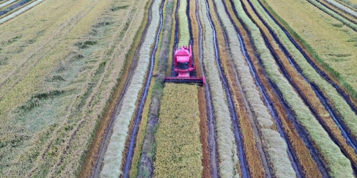 29,1 Milyon Liralık Tarımsal Destekleme Ödemesi Çitçilerin Hesaplarına Bugün Yatırılacak
