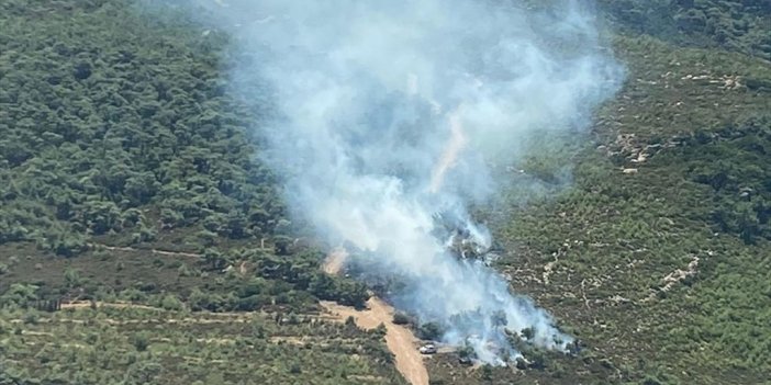 İzmir Foça'da Orman Yangını Çıktı