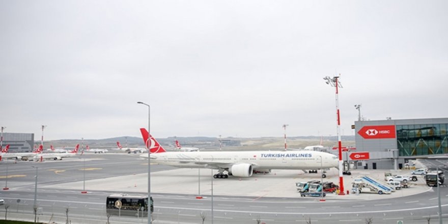 THY Uçağı Kuş Sürüsüne Daldı... Uçak Seferden Çekildi