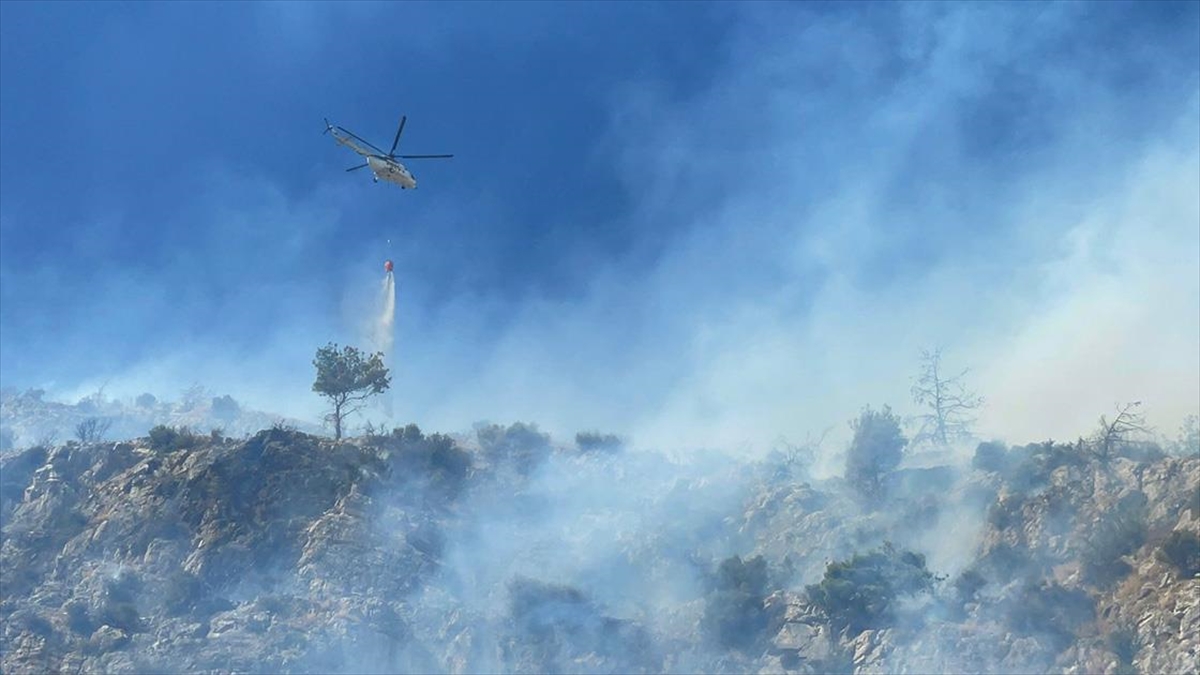 Aydın'da Ağaçlık Alanda Çıkan Yangına Müdahale Ediliyor
