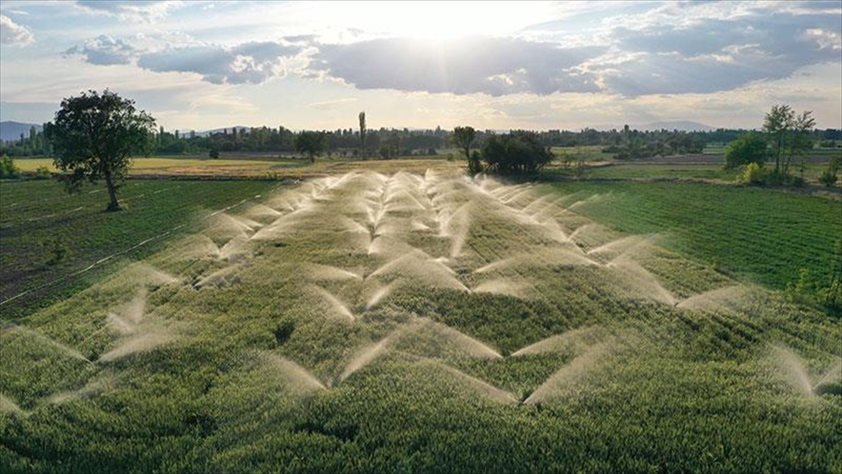 Hayvancılık, Bitkisel Üretim Ve Sulama Yatırımlarına 2024'te Öncelik Verilecek