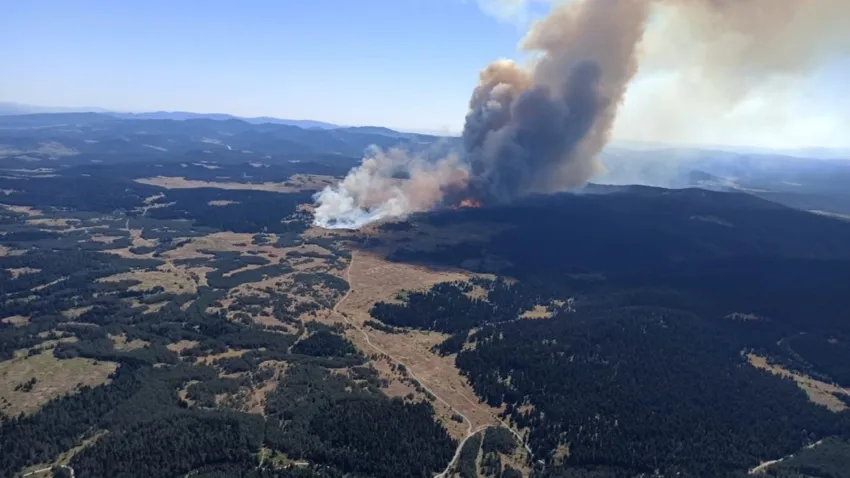 4 büyükşehirde orman yangını