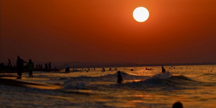 Yüksek Deniz Suyu Sıcaklıkları Denizlerdeki Ekosistemi Tehdit Ediyor