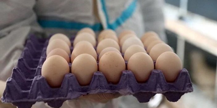 Yumurta fiyatları uçuşa geçti!