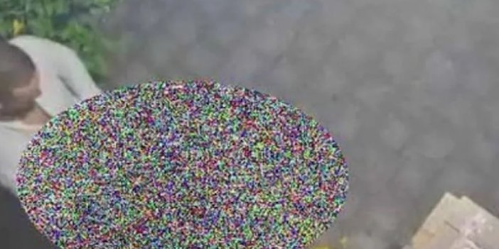 Sokak ortasında ilişkiye girdiler!