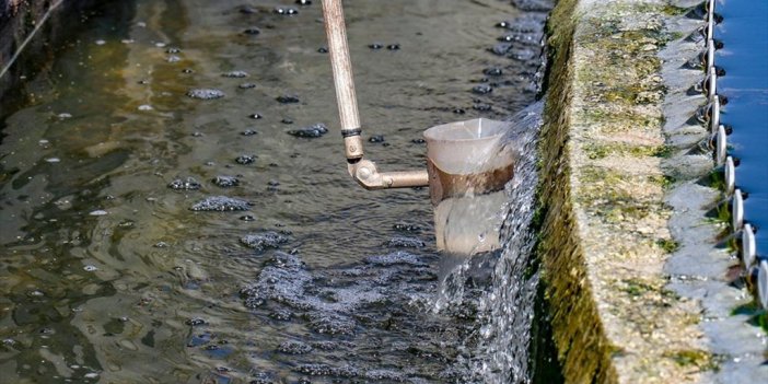 Van Gölü, Çevreci Projelerle Kirlilikten Kurtarılıyor