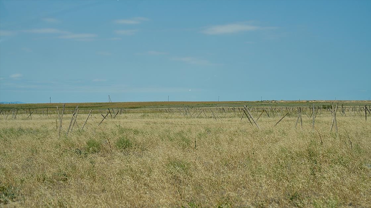 Bm: Ermenistan'ın Azerbaycan Topraklarına Döşediği Mayınlar Endişe Verici