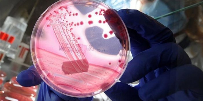 Uluslararası Yumurtalık Kanseri Uygulaması "olivia" Türkçe De Hizmet Verecek