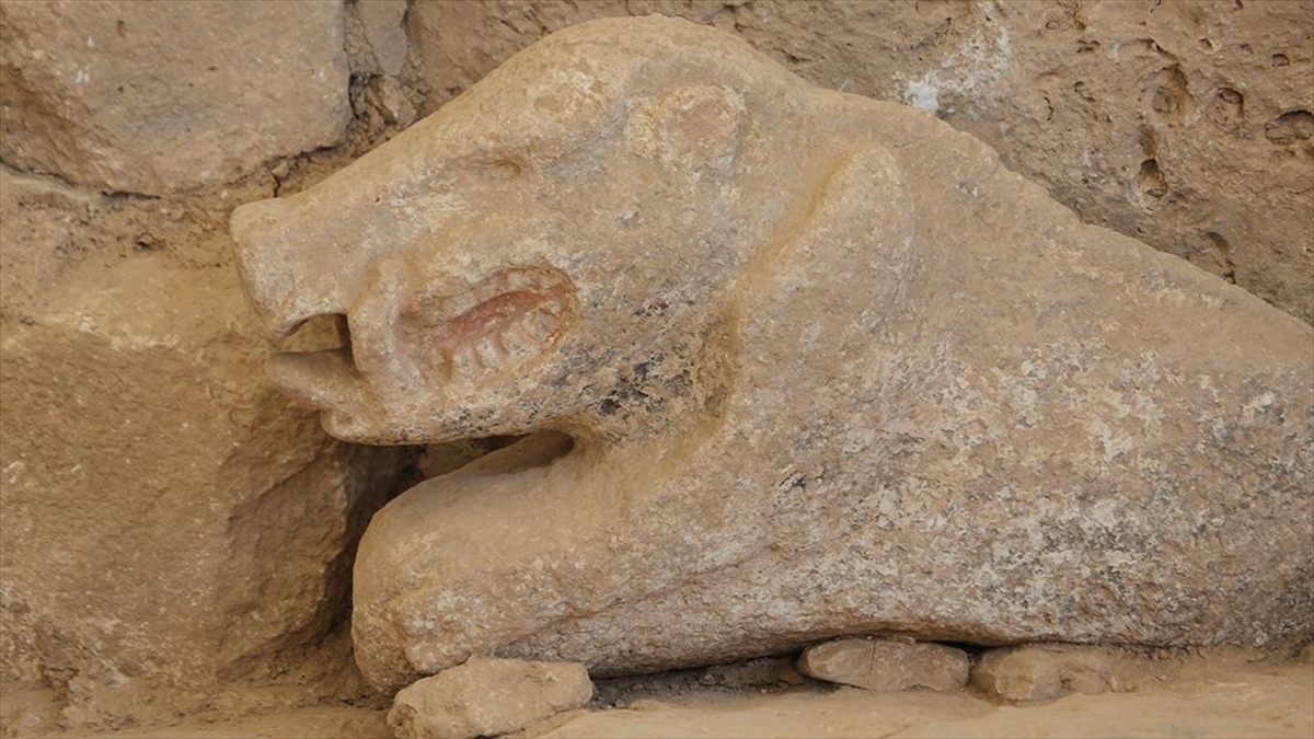 Göbeklitepe'de Bulunan Yaban Domuzu Heykeli Ekibince Görüntülendi