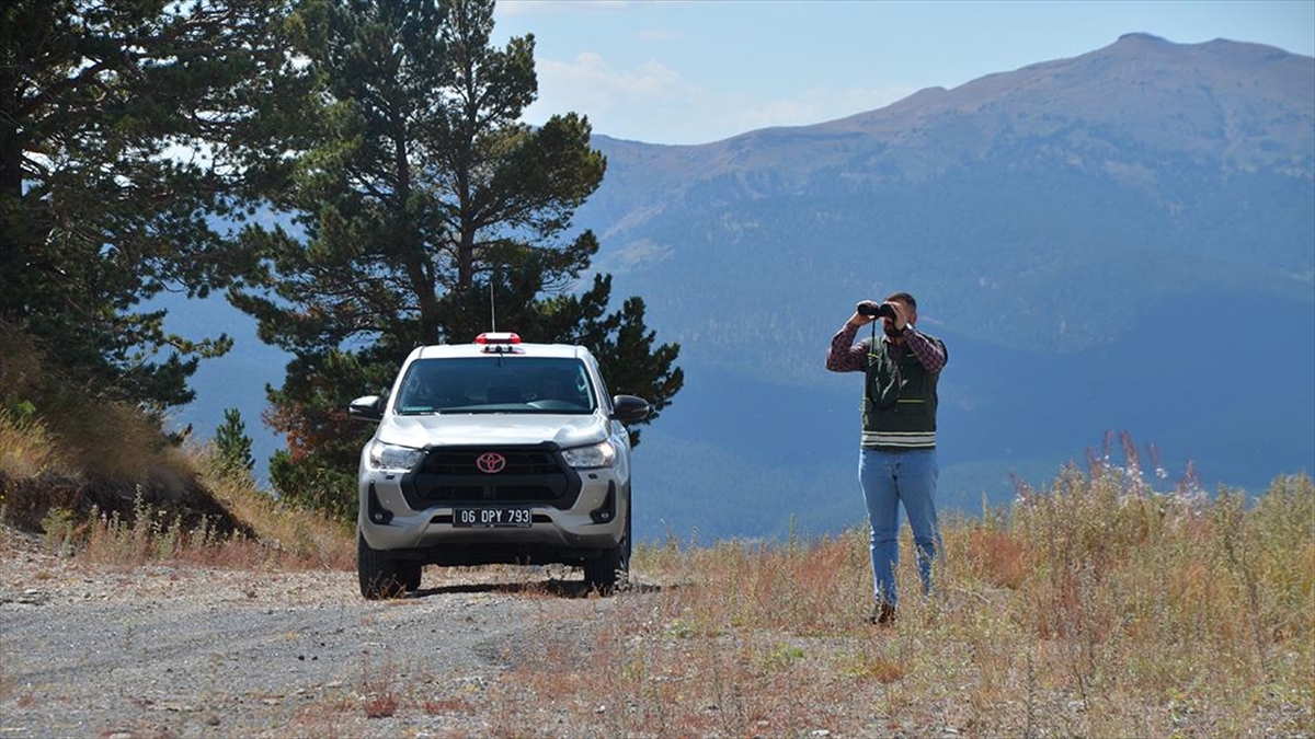 Sarıçam Ormanları Bakım, Eğitim Ve Tatbikatlarla Yangınlara Karşı Korunuyor