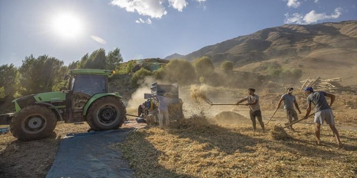 Tunceli Ovacık'ta 205 Çiftçi 3 Bin 671 Dekarda Fasulye Üretiyor