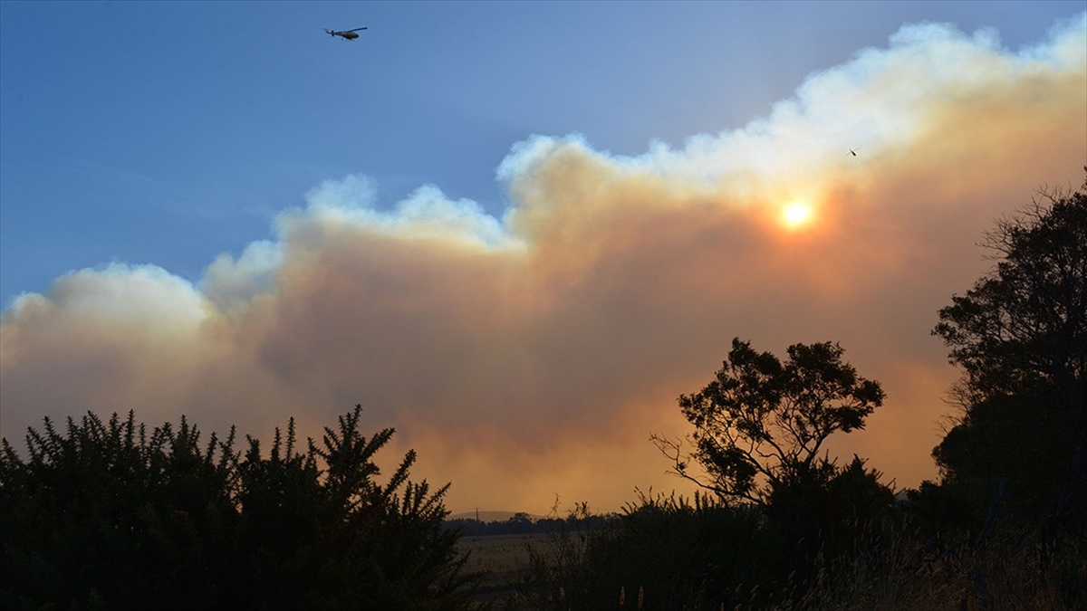Avustralya'nın Yeni Güney Galler Eyaletinde Dün 85 Yangın Çıktı