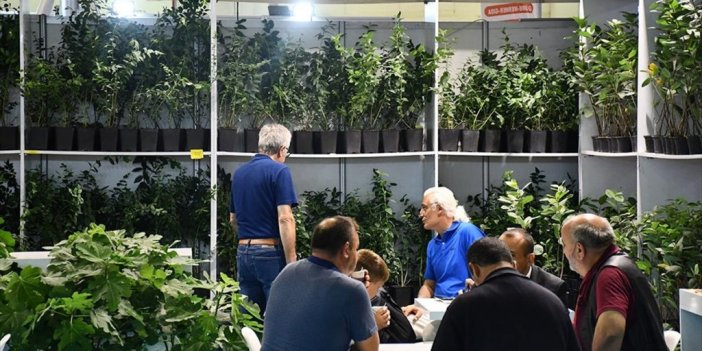 Bursa'da Tarım Ve Hayvancılık Fuarları Başladı