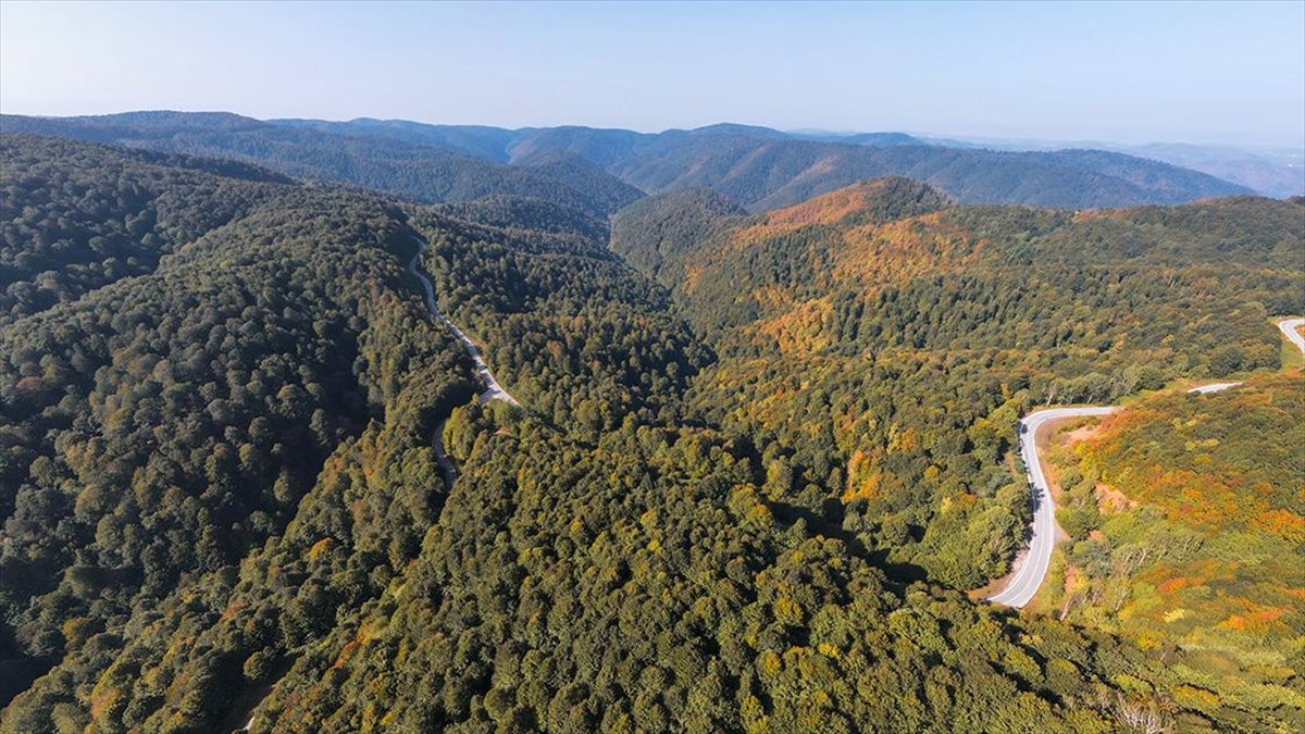 Çam Dağı'na Sonbaharın Renkleri Hakim Olmaya Başladı