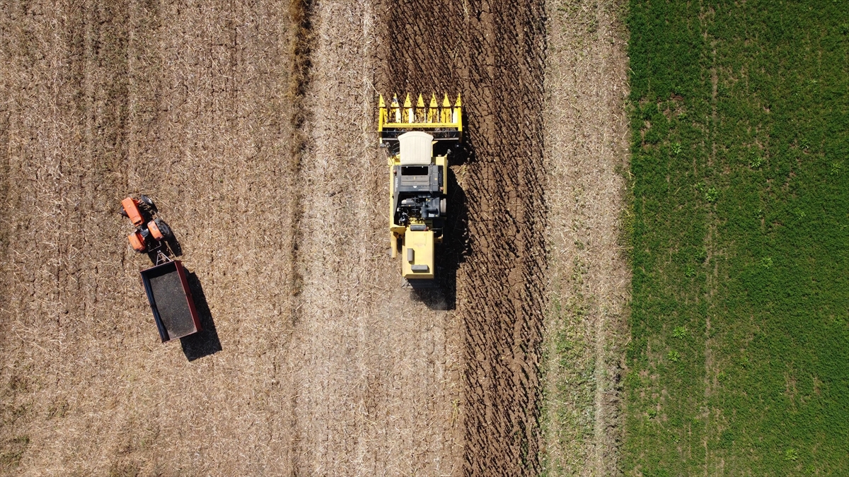 Bakan Yumaklı, 636 Milyon Liralık Tarımsal Destekleme Ödemesinin Bugün Yapılacağını Açıkladı