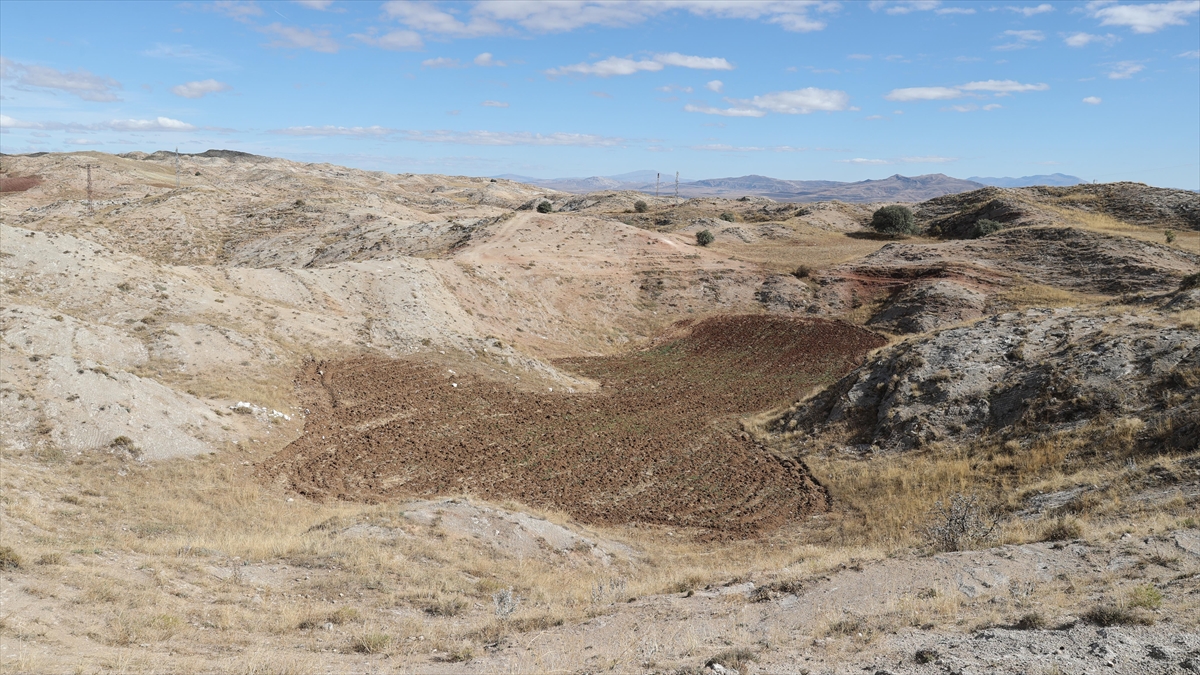 Sivas'ta Oluşan Obruk Ve Dolinler Tarım Arazisine Dönüştürüldü