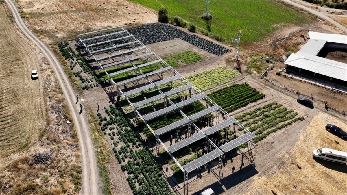 Türkiye'nin İlk Güneş Takip Sistemli Tarım Ges'i Açıldı