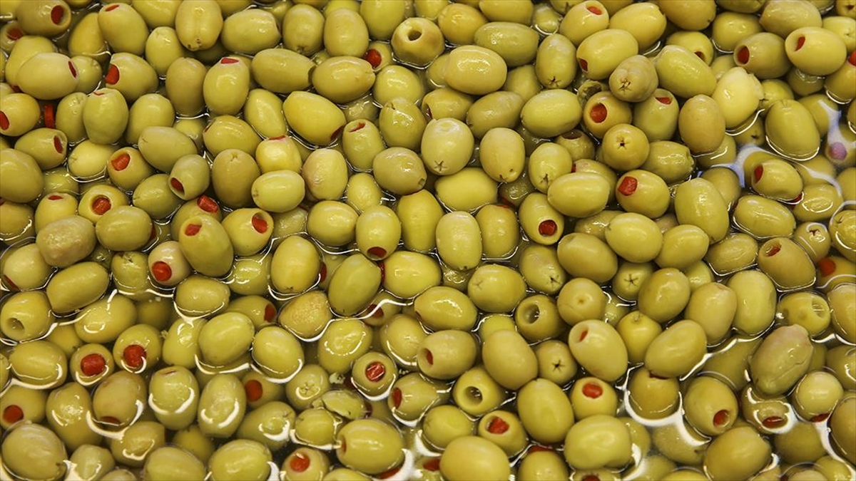 Türkiye'nin Sofralık Zeytin İhracatı 184,5 Milyon Doları Buldu