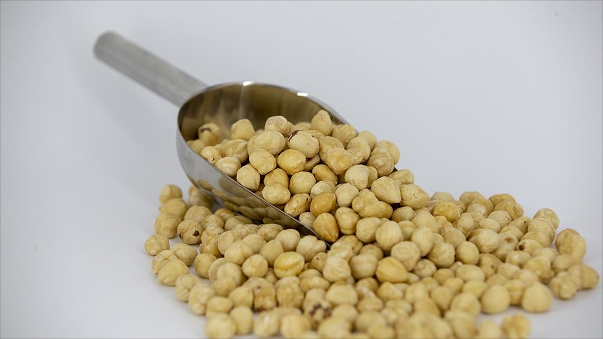 Trabzon'un 9 Aylık Fındık İhracatında AB Ülkeleri Başı Çekti