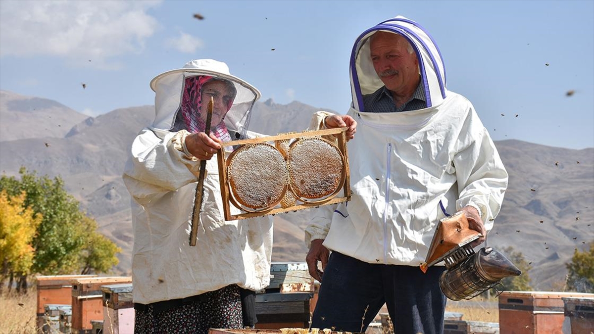 Ordulu Çift "İkinci Memleketimiz" Dedikleri Hakkari'de 30 Yıldır Arıcılık Yapıyor