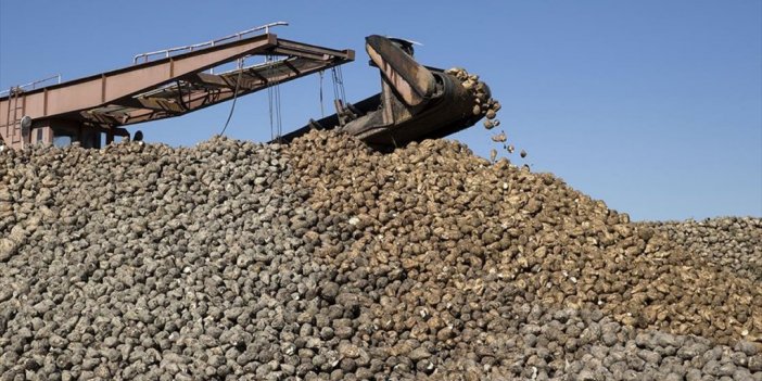 Şeker Üretimi Ülke İhtiyacını Karşılayacak Seviyede