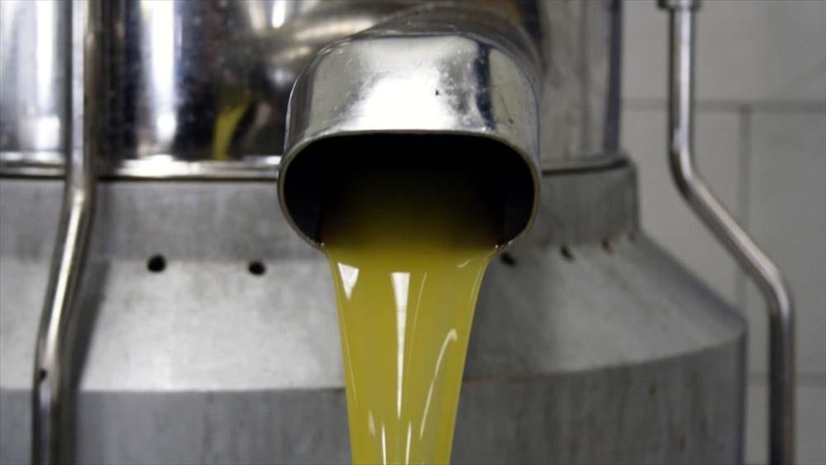 Zeytinyağı Ve Pirina Yağının Analiz Metotlarında Düzenlemeye Gidildi