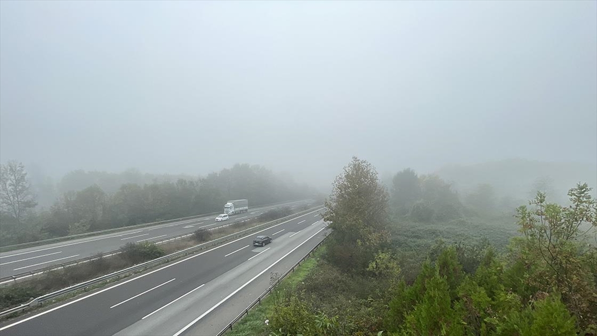 Düzce Ve Bolu'da Sis Etkili Oldu