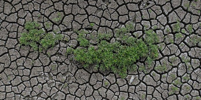 İklim Değişikliğinin Artan Etkileri, Tarımda Daha Fazla Adaptasyon Politikası Gerektiriyor