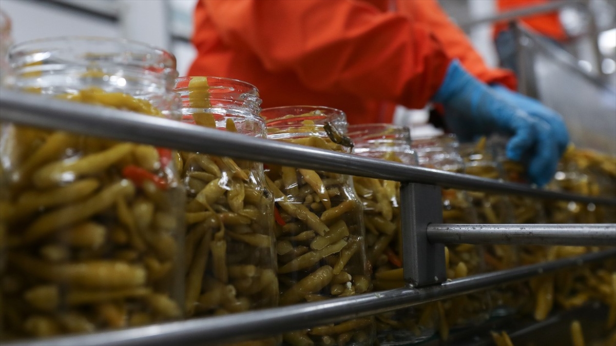 Turşu İhracatının Büyük Kısmı Ege'den Yapıldı