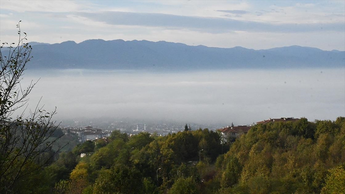 Düzce'de Sis Etkili Oldu