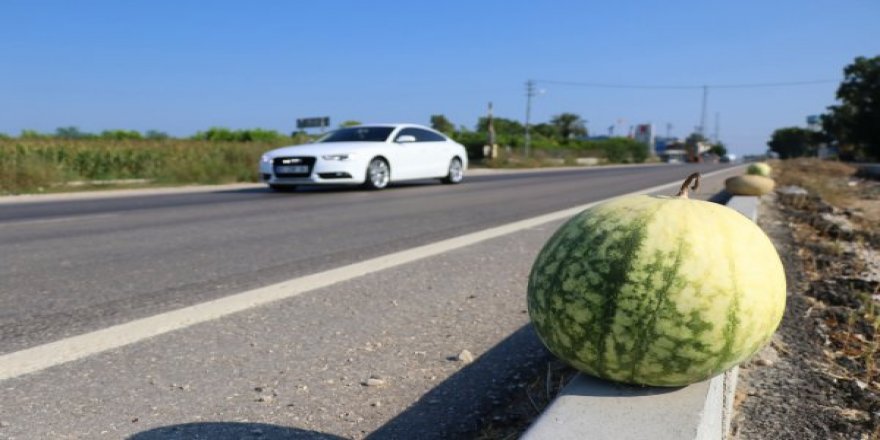Adana'da Karpuz Bol, Alan Yok