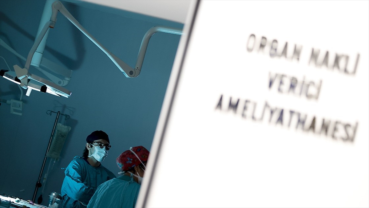 Türkiye'de 10 Ayda Beyin Ölümü Gerçekleşen Kişilerin Yüzde 16'sının Organları Bağışlandı