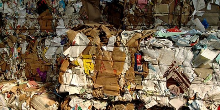 Karton Ambalaj Sektörü "yeşil Dalga"yı Radarına Aldı