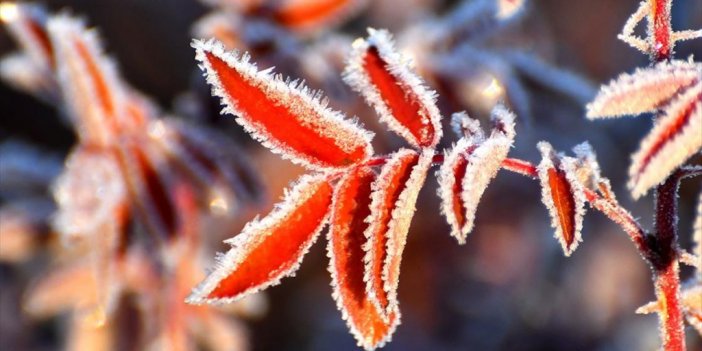 Kars'ta Soğuk Hava Etkili Oldu