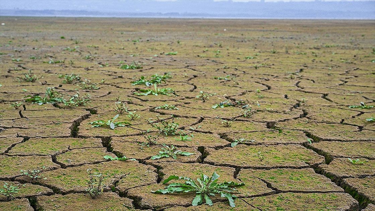 İstanbul'daki 10 Barajdan 3'ü "alarm" Veriyor
