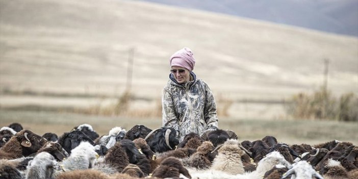 Hobi Olarak 3 Keçiyle Hayvancılığa Başlayan Kadın Mimar Sürü Sahibi Oldu