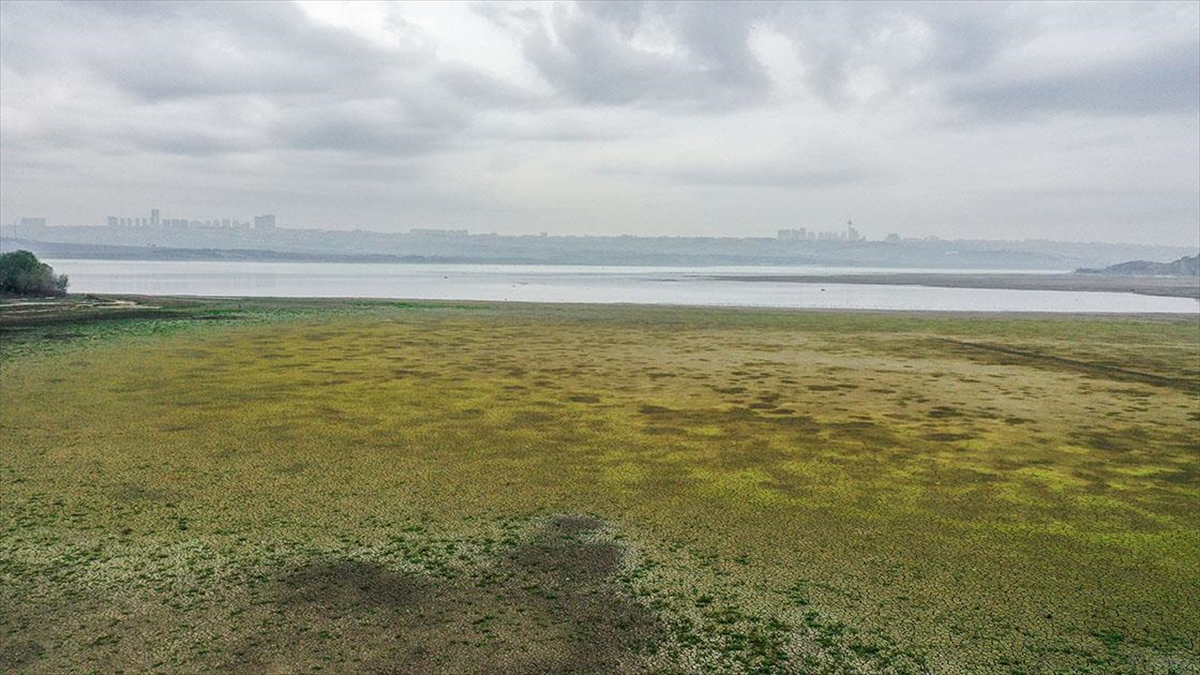 Bitmeyen Yaz İstanbul Barajlarındaki Su Seviyesini Olumsuz Etkiliyor