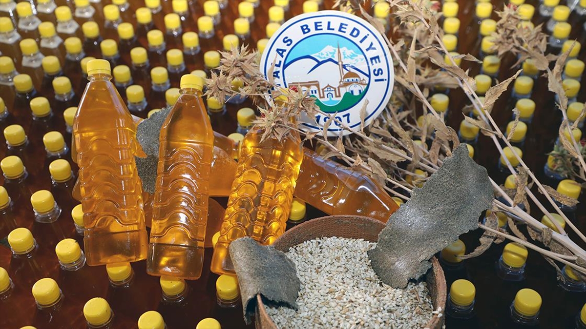 Kayseri'de Hasat Edilen Aspirin Yağı Depremzedelere Gönderilecek