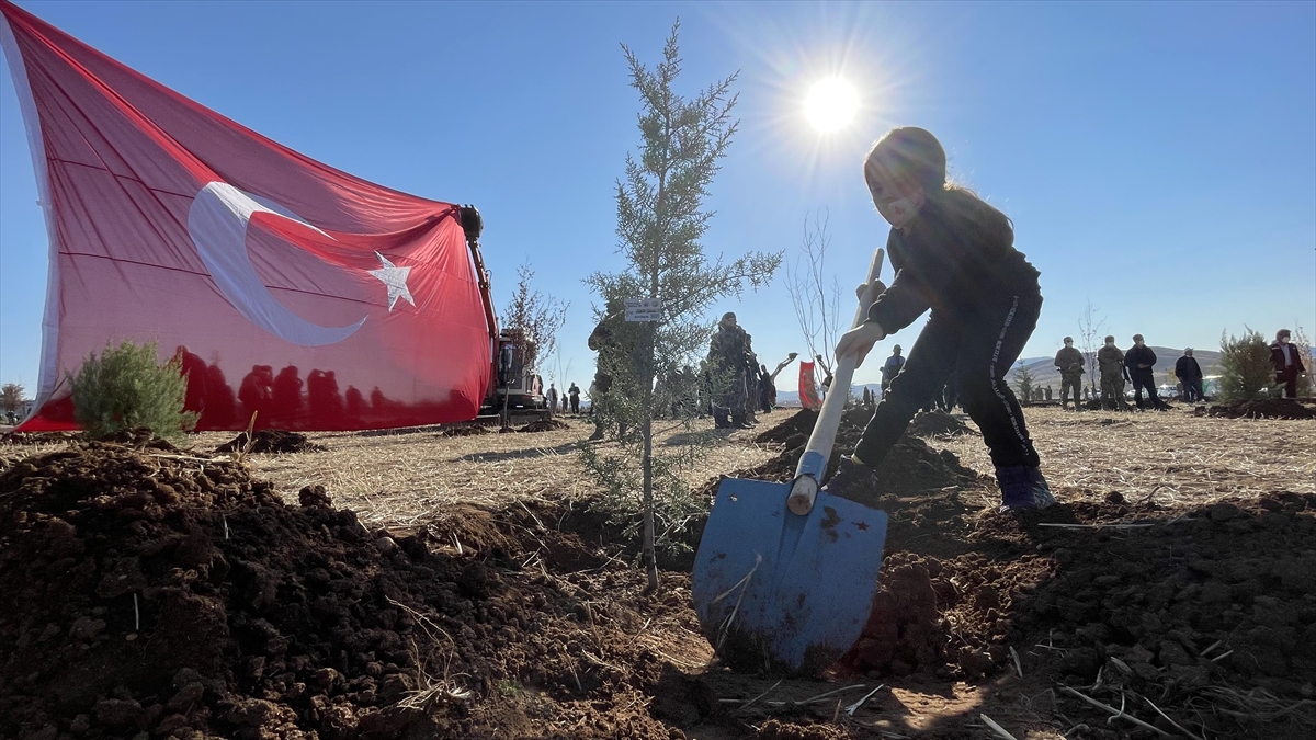 Milli Ağaçlandırma Günü Etkinliklerinde Dikilen Fidanlar Toprağa Kök Salıyor