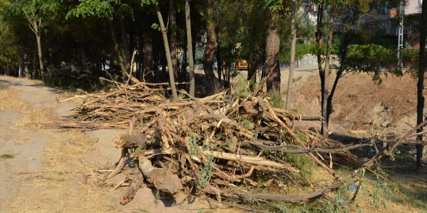 Hdp'li Belediyenin Ağaç Kesimine Tepki
