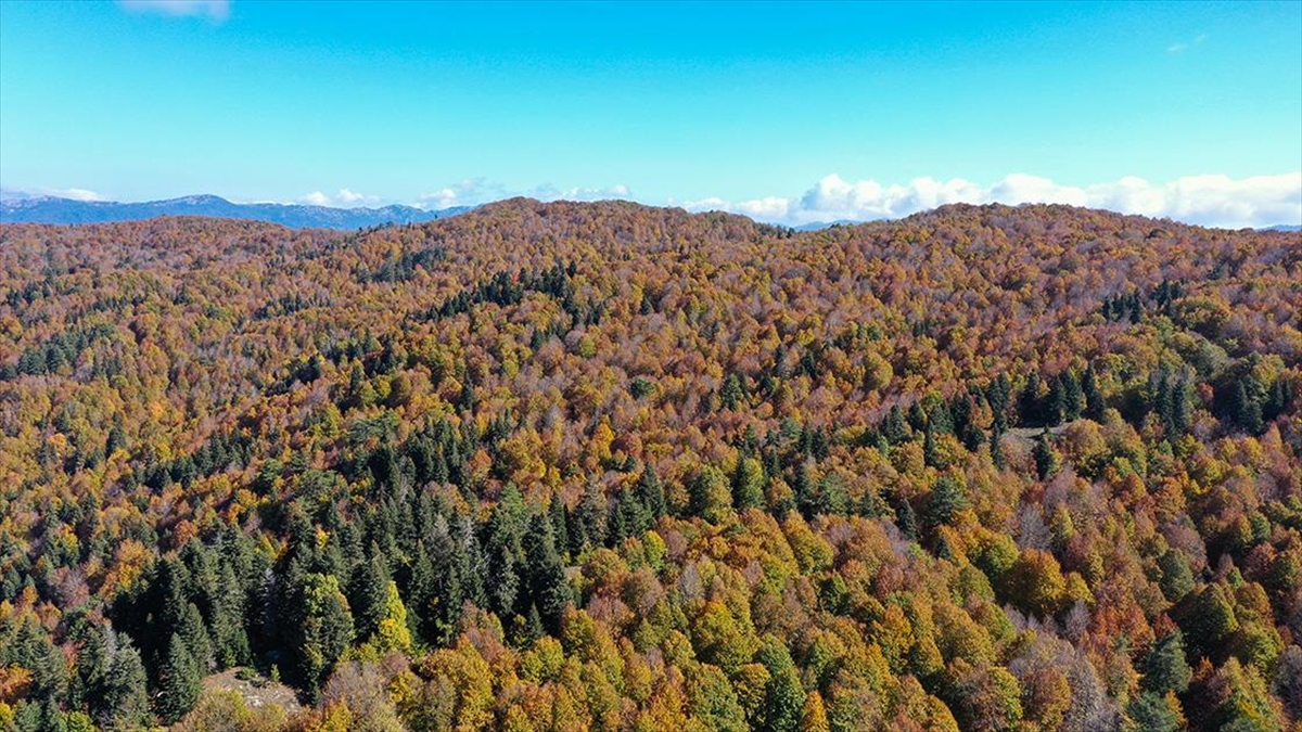 Andırın Yaylalarında Sonbahar Renkleri Hakim Oldu