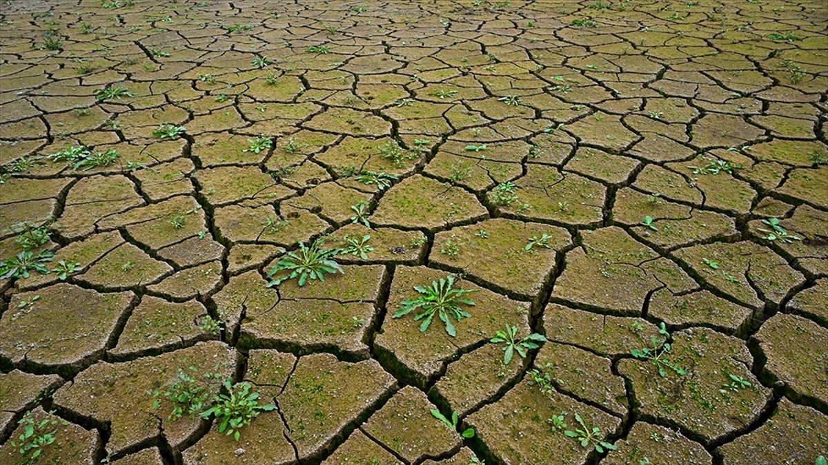 Bm Genel Sekreteri Guterres: Dünya İklim Krizini Kontrol Altına Almakta Başarısız Oluyor