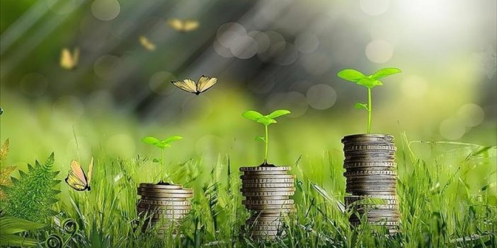Yeşil Dönüşümün Finansmanı İçin Türkiye Yeşil Fonu Geliyor