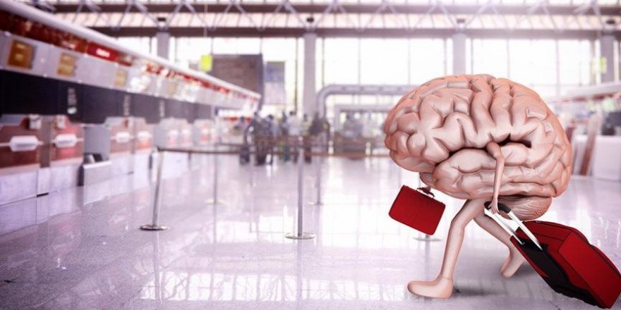 Sadullah Özcan yazdı: Beyin Göçü ve Ülkelerin Kaderi