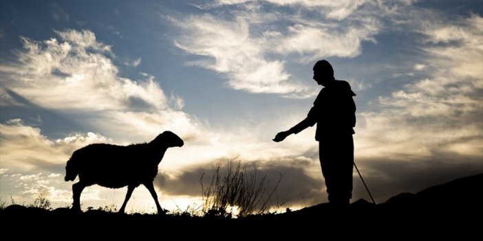 Hayvancılık Destek Projeleriyle Gelişiyor